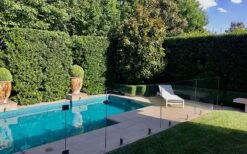 Bay Laurel (Sweet Bay) - Laurus Nobilis - 1 Gallon Pot 15 Bay Laurel (Sweet Bay) - Laurus Nobilis - 1 Gallon Pot -SHRUBS and BUSHES Shop Bay Laurel 7