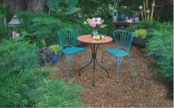 Soft Caress Mahonia - 2 Gallon Pot -SHRUBS and BUSHES Shop Mahonia Soft Caress 13 1