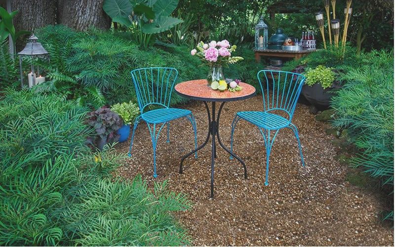 Soft Caress Mahonia - 3 Gallon Pot 6 Soft Caress Mahonia - 3 Gallon Pot - Image 4