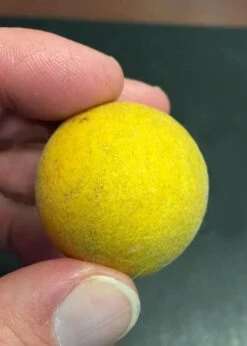 Flying Dragon Hardy Orange Tree - 7 Gallon Pot (3-4') -SHRUBS and BUSHES Shop Orange Flying Dragon 6