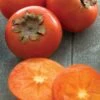 American Persimmon Tree (Diospyros Virginiana) - 3 Pack Of 1.5 Quart Pots -SHRUBS and BUSHES Shop Persimmon American 1 1