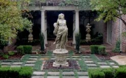 Dwarf Mondo Grass - 72 Pack Of 3.5" Pint Pots -SHRUBS and BUSHES Shop Picture Mondo Grass Dwarf Pavers