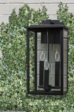 Variegated Creeping Fig (Ficus Pumila 'Variegata') - 10 Pack Of 4" Pint Pots -SHRUBS and BUSHES Shop ficus pumila variegata creeping fig 102