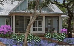 Snow Globe Gardenia - 1 Gallon Pot 13 Snow Globe Gardenia - 1 Gallon Pot -SHRUBS and BUSHES Shop gardenia jasminoides snow globe 2 1